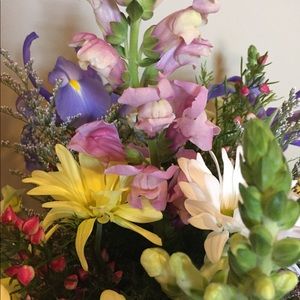 Meet your Posher, Amy